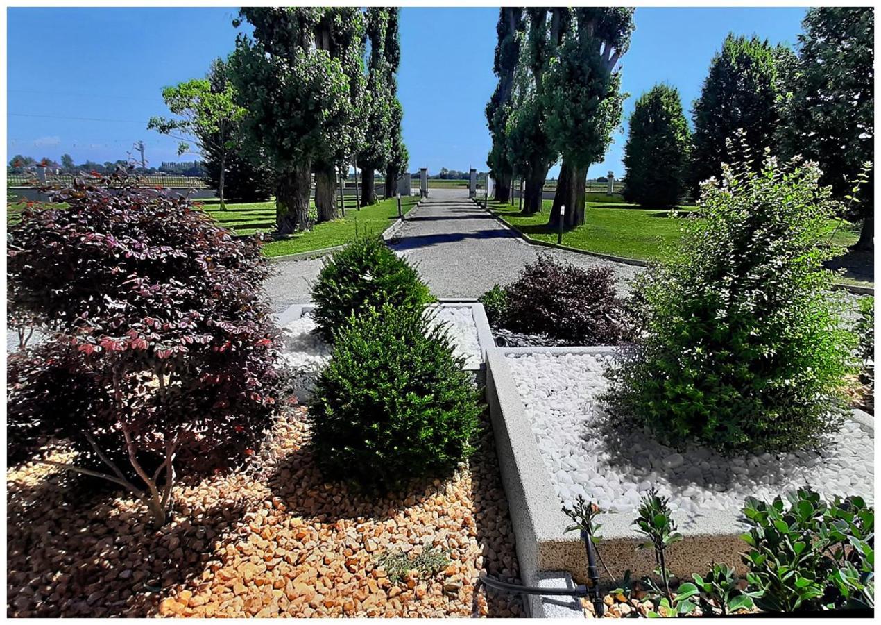 Marina  Villa Agricolae Agriturismo מראה חיצוני תמונה